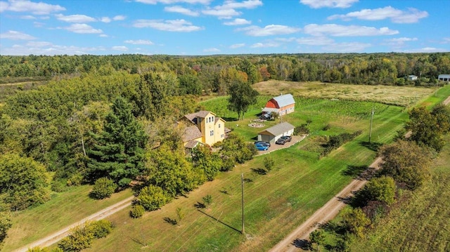 19334 105th Ave, Hayland Twp, MN 56353 - aerial view of property and surrounding area featuring a heavily wooded area