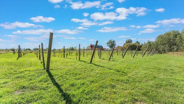 19334 105th Ave, Hayland Twp, MN 56353 - view of grassy yard with a view of countryside