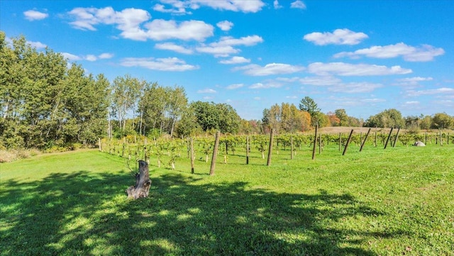 19334 105th Ave, Hayland Twp, MN 56353 - view of grassy yard with a view of countryside