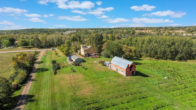 19334 105th Ave, Hayland Twp, MN 56353 - view of rural area featuring a heavily wooded area