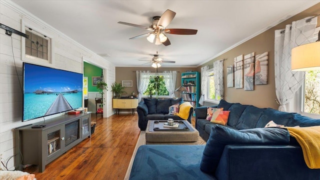 19334 105th Ave, Hayland Twp, MN 56353 - living room featuring crown molding, wood finished floors, and a ceiling fan