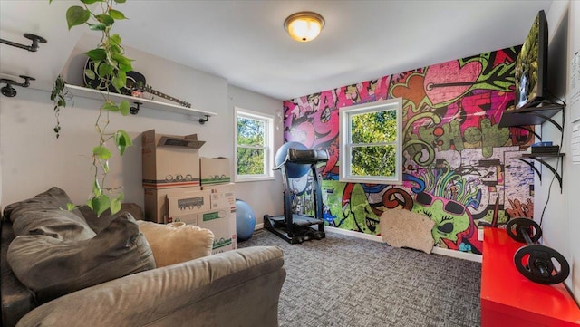19334 105th Ave, Hayland Twp, MN 56353 - game room featuring carpet flooring and baseboards