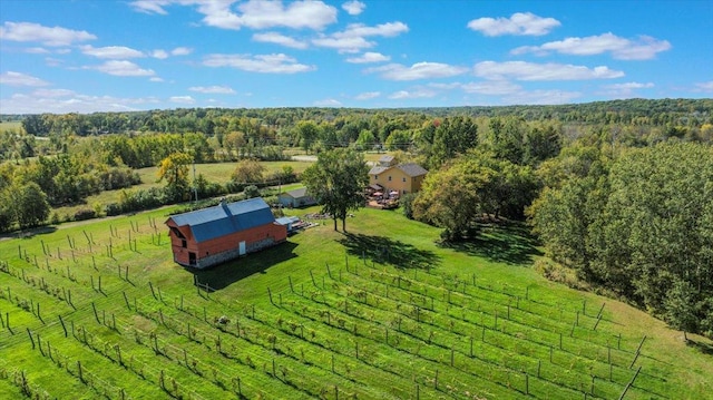 19334 105th Ave, Hayland Twp, MN 56353 - aerial view of sparsely populated area featuring a forest