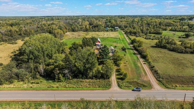 19334 105th Ave, Hayland Twp, MN 56353 - drone / aerial view of a forest