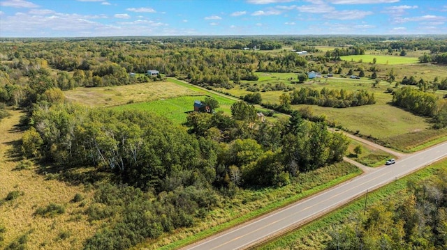 19334 105th Ave, Hayland Twp, MN 56353 - drone / aerial view of a forest
