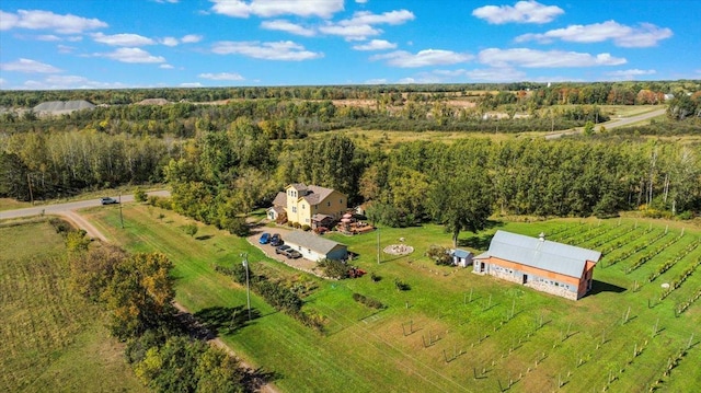 19334 105th Ave, Hayland Twp, MN 56353 - view of rural area featuring a forest