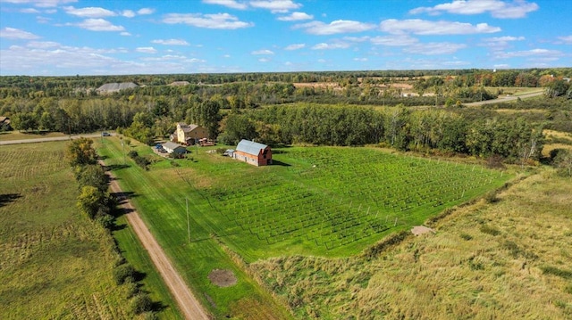 19334 105th Ave, Hayland Twp, MN 56353 - overview of rural landscape