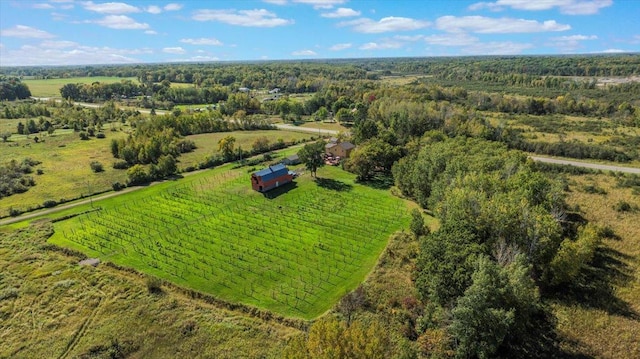 19334 105th Ave, Hayland Twp, MN 56353 - view of rural area with extensive farmland