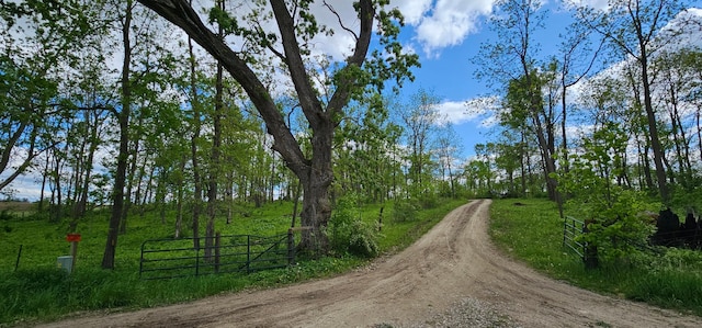 33580 156th St, Harmony Twp, MN 55939 - view of street