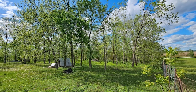 33580 156th St, Harmony Twp, MN 55939 - view of yard