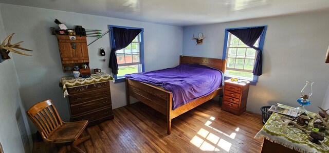 33580 156th St, Harmony Twp, MN 55939 - bedroom with wood finished floors and multiple windows