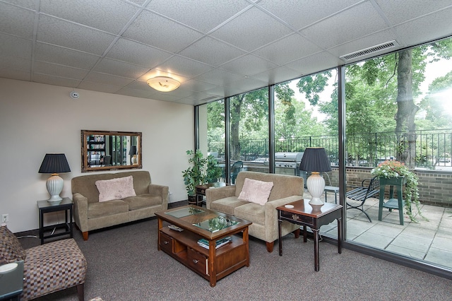 207 5th Ave SW Unit 208, Rochester, MN 55902 - carpeted living area featuring expansive windows and a paneled ceiling