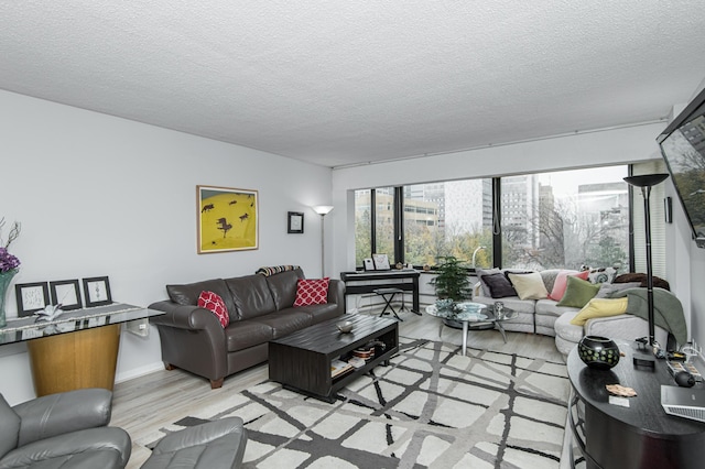 207 5th Ave SW Unit 208, Rochester, MN 55902 - living area featuring light wood-style flooring and a textured ceiling