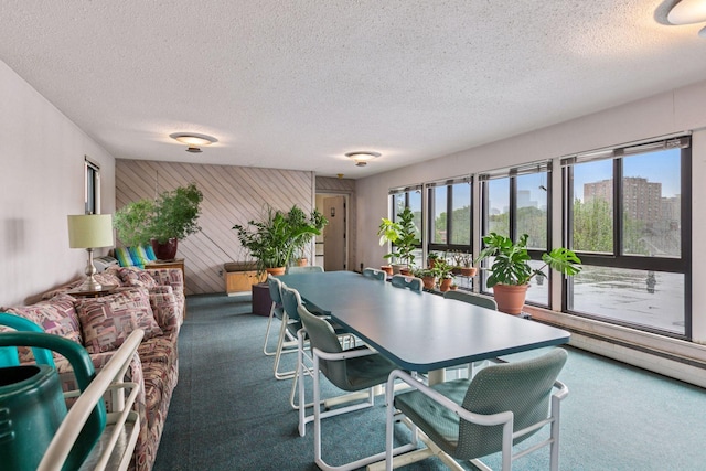 1912 Dupont Ave S Unit 302, Minneapolis, MN 55403 - dining area with carpet floors, a textured ceiling, and wood walls