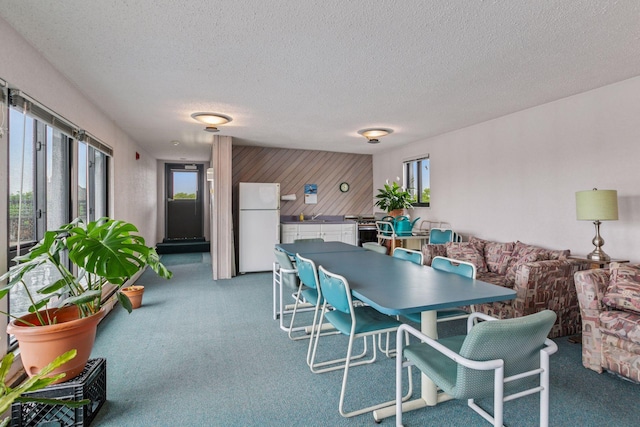 1912 Dupont Ave S Unit 302, Minneapolis, MN 55403 - dining space featuring carpet floors, a textured ceiling, and wooden walls