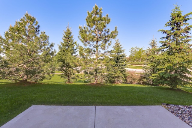 3276 Lakewood Trl, Woodbury, MN 55129 - photo 24