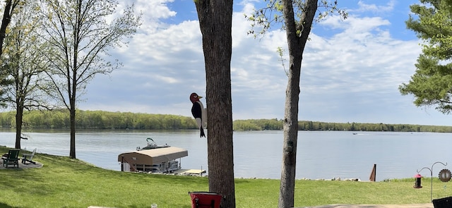 2051 Pine Knoll Rd, Knife Lake Twp, MN 55051 - water view featuring a dock and a forest