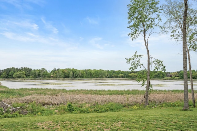 7410 313th Ave NE, North Branch Twp, MN 55056 - water view featuring a forest