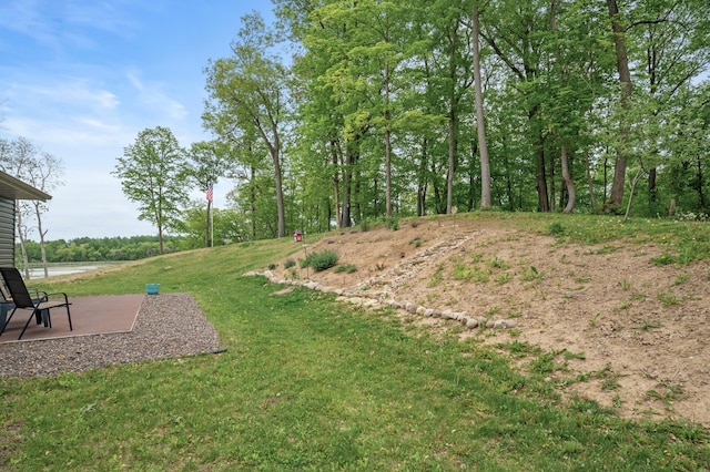 7410 313th Ave NE, North Branch Twp, MN 55056 - view of green lawn featuring a patio area