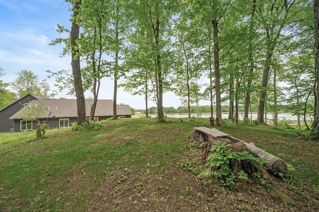 7410 313th Ave NE, North Branch Twp, MN 55056 - view of yard featuring a water view