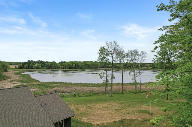 7410 313th Ave NE, North Branch Twp, MN 55056 - water view