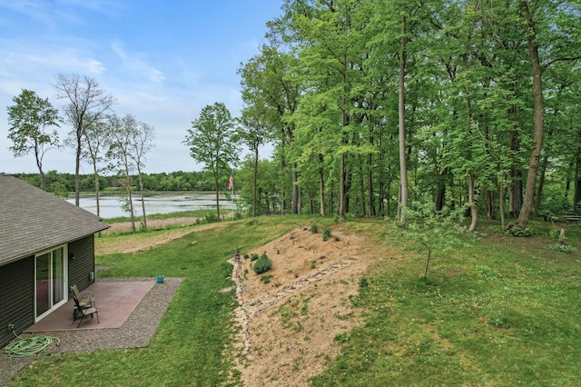 7410 313th Ave NE, North Branch Twp, MN 55056 - view of yard with a water view and a patio