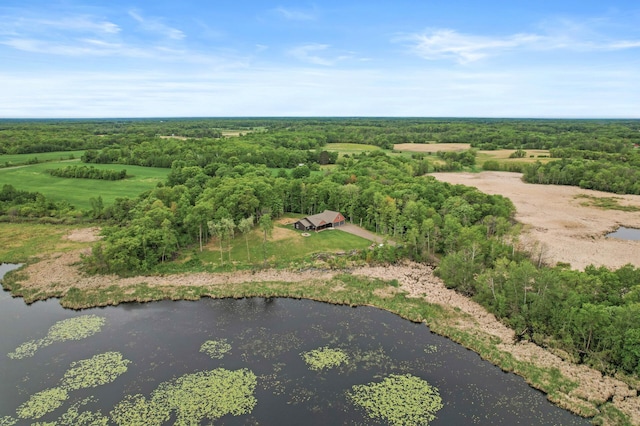 7410 313th Ave NE, North Branch Twp, MN 55056 - aerial view of property and surrounding area with a large body of water and a forest