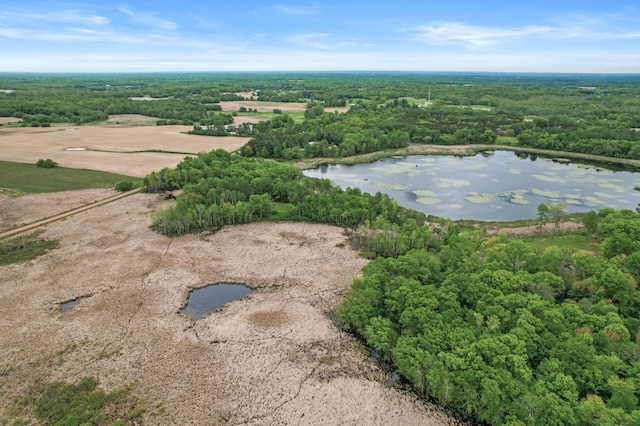 7410 313th Ave NE, North Branch Twp, MN 55056 - drone / aerial view of a large body of water and a forest