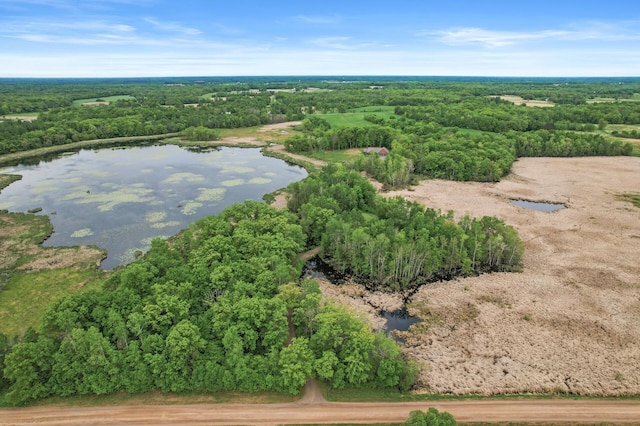 7410 313th Ave NE, North Branch Twp, MN 55056 - aerial view of a large body of water and a forest