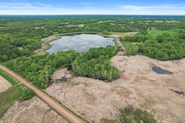 7410 313th Ave NE, North Branch Twp, MN 55056 - aerial view of property and surrounding area featuring a nearby body of water and a heavily wooded area