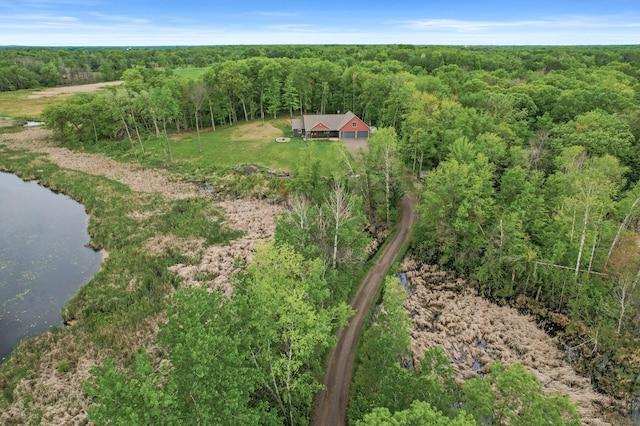 7410 313th Ave NE, North Branch Twp, MN 55056 - view from above of property featuring a heavily wooded area and a large body of water