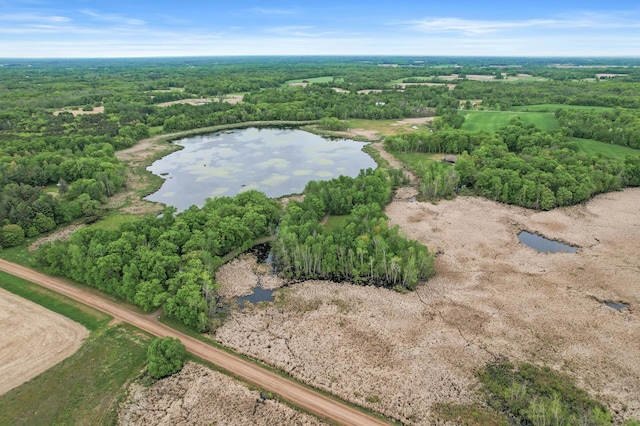 7410 313th Ave NE, North Branch Twp, MN 55056 - aerial view of property's location featuring a nearby body of water