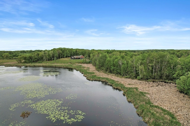 7410 313th Ave NE, North Branch Twp, MN 55056 - water view with a heavily wooded area