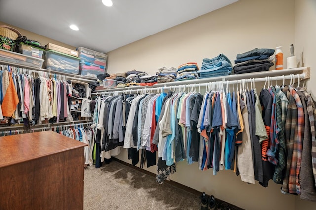 7410 313th Ave NE, North Branch Twp, MN 55056 - spacious closet with carpet