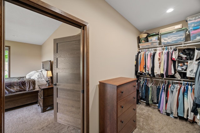 7410 313th Ave NE, North Branch Twp, MN 55056 - walk in closet with light colored carpet and lofted ceiling