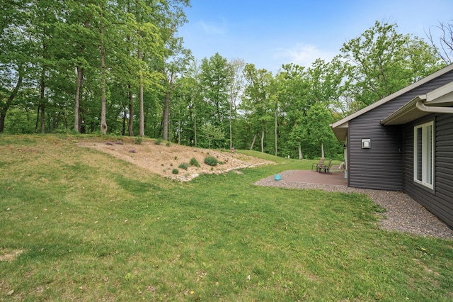 7410 313th Ave NE, North Branch Twp, MN 55056 - view of grassy yard with a patio