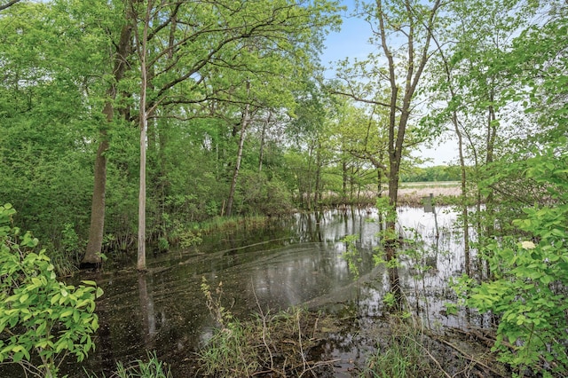 7410 313th Ave NE, North Branch Twp, MN 55056 - water view