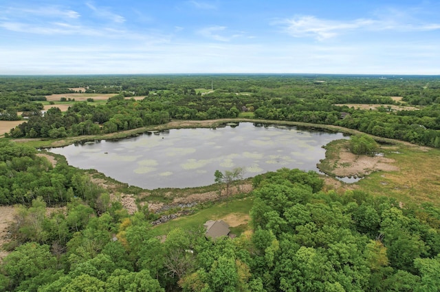 7410 313th Ave NE, North Branch Twp, MN 55056 - aerial overview of property's location featuring a heavily wooded area and a large body of water