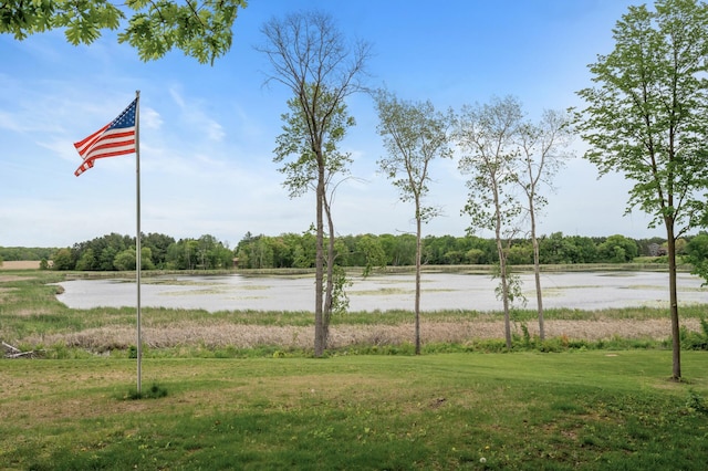 7410 313th Ave NE, North Branch Twp, MN 55056 - water view