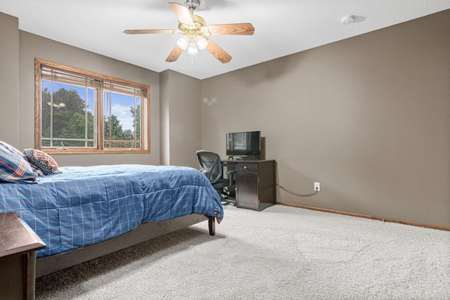 5177 Muir Ave N, Baytown Twp, MN 55082 - photo 37