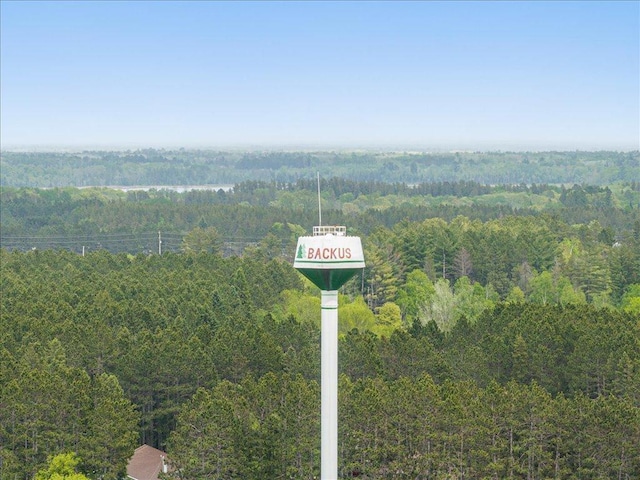 114 Washburn Ave W, Backus, MN 56435 - exterior view of a forest