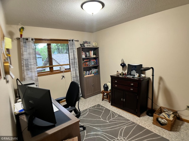 204 10th St N, Sartell, MN 56377 - home office with a textured ceiling and light colored carpet