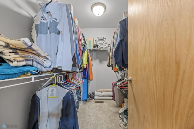 6738 Joseph St, Horace, ND 58047 - spacious closet with carpet floors