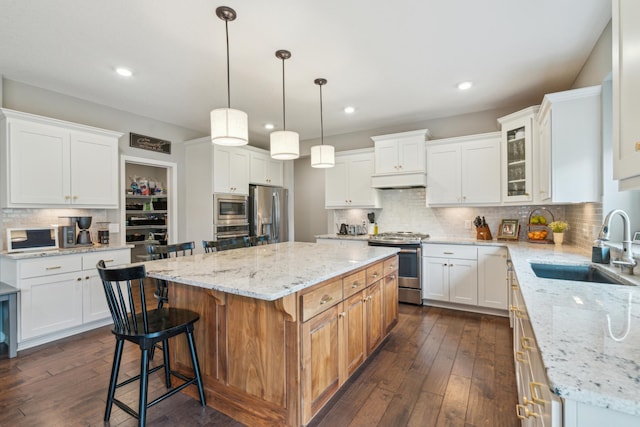 1482 Camden Ridge Dr, Chanhassen, MN 55317 - photo 3