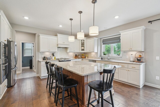1482 Camden Ridge Dr, Chanhassen, MN 55317 - photo 4