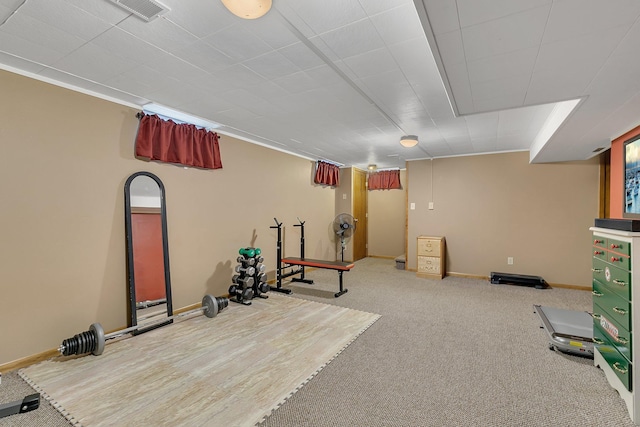 148 21st Ave N, Saint Cloud, MN 56303 - workout room featuring carpet floors and baseboards