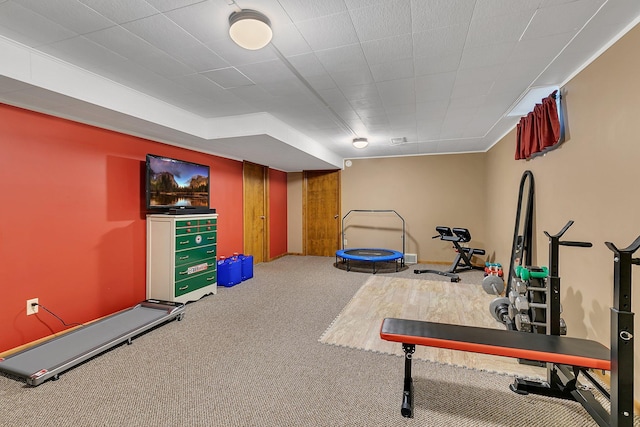 148 21st Ave N, Saint Cloud, MN 56303 - exercise area with carpet