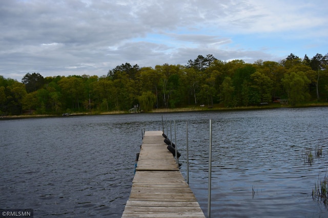 48080 218th Pl, Mcgregor, MN 55760 - dock featuring a water view and a forest view