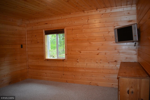 48080 218th Pl, Mcgregor, MN 55760 - additional living space with wooden ceiling, carpet floors, and wooden walls