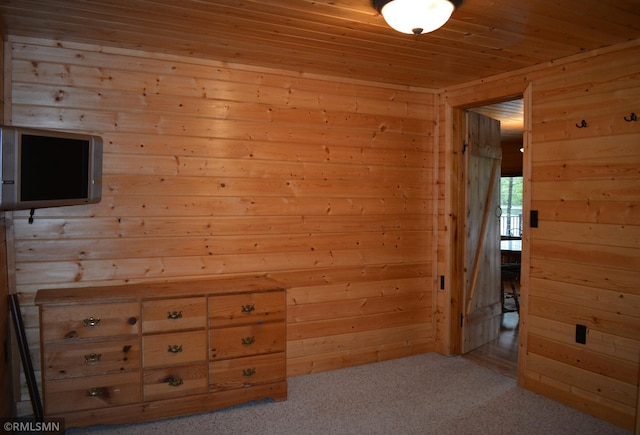 48080 218th Pl, Mcgregor, MN 55760 - bonus room with wooden walls, wood ceiling, and carpet flooring